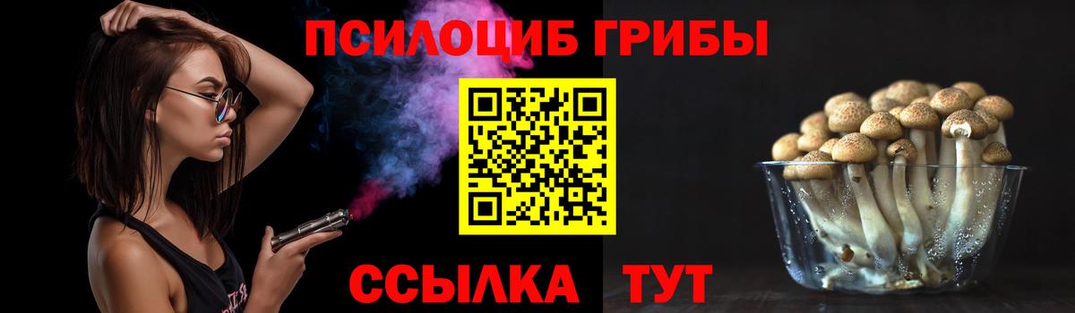 Камень-на-Оби  Галлюциногенные грибы прущие грибы  Вход с VPN  Галлюциногенные грибы мухоморы 